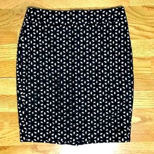 Beautiful Ann Taylor by LOFT Pencil Skirt